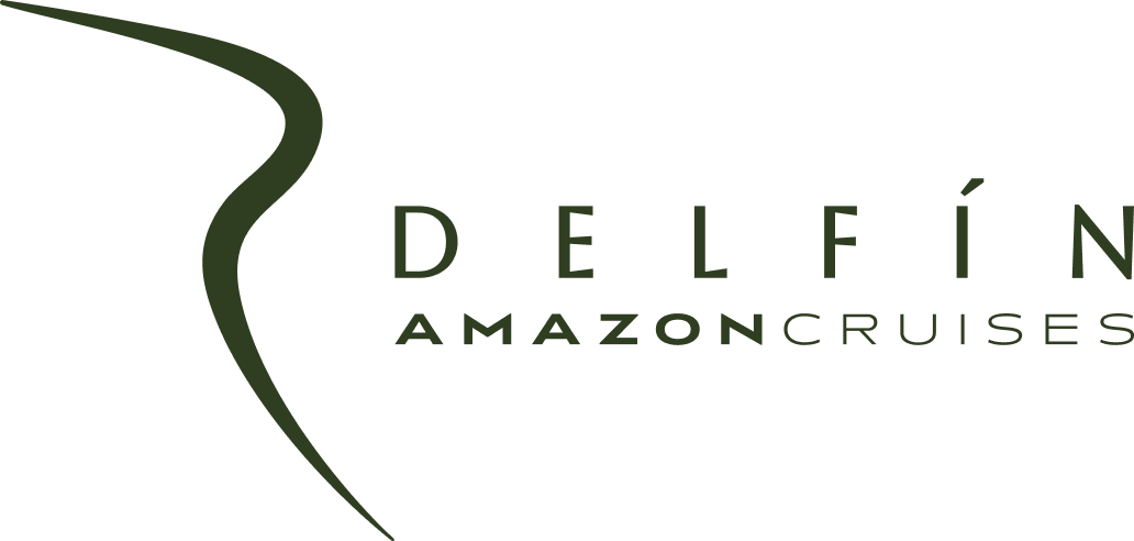ship logo