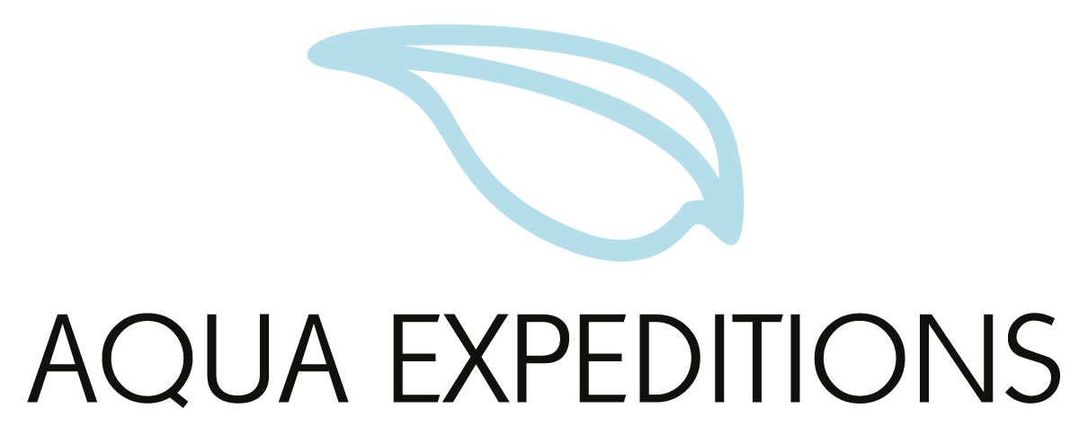 ship logo